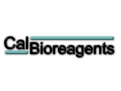 CalBioreagents代理，CalBioreagents蘇州代理，